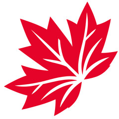 Obraz premium red maple leaf, isolated, vector illustration