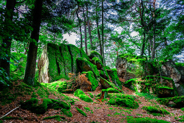 Hiking Tour on the Semmelberg in the Bavarian Forests