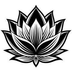 lotus flower vector