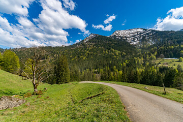 Beautiful panoramic circular hiking trail to the Denneberg at the Nagelfluhkette near Oberstaufen Steibis
