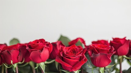 Fototapeta premium A stunning Valentine s greeting card featuring vibrant red roses stands out beautifully against a crisp white background