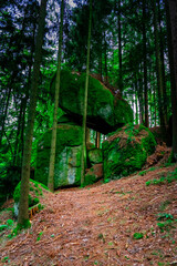 Hiking Tour on the Semmelberg in the Bavarian Forests