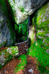 Hiking Tour on the Semmelberg in the Bavarian Forests
