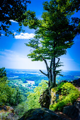 Hiking on the Buechelstein in the  Bavarian Forests