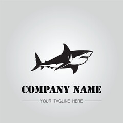 Shark silhouette illustration design for company logo vector image on the white background	
