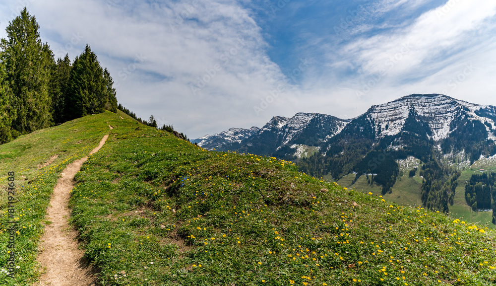 Wall mural Beautiful panoramic circular hiking trail to the Denneberg at the Nagelfluhkette near Oberstaufen Steibis