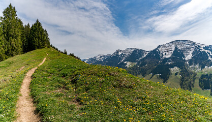 Beautiful panoramic circular hiking trail to the Denneberg at the Nagelfluhkette near Oberstaufen...