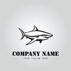 Shark silhouette illustration design for company logo vector image on the white background	
