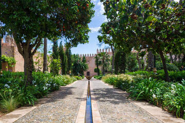 path in the park Marocco Rabat