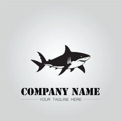 Shark silhouette illustration design for company logo vector image on the white background