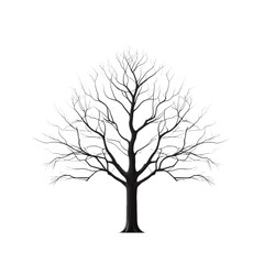 tree isolated on white background