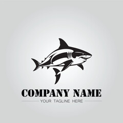 Shark silhouette illustration design for company logo vector image on the white background