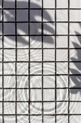 Water wavy texture on the white ceramic tile background with leaf shadow. Copy space