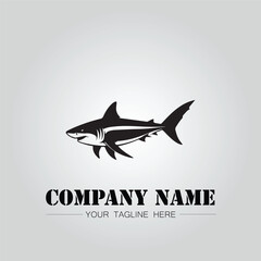 Shark silhouette illustration design for company logo vector image on the white background