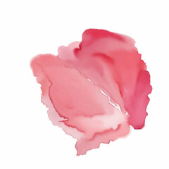 Abstract pink watercolor water splash on a white background. Vector watercolour texture in salad color
