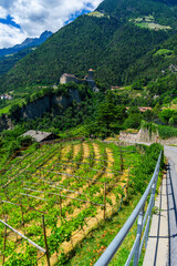 Sigths from Dorf Tyrol in South Tyrol Italy on Meran and other Landscapes.