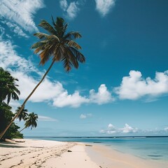 Bent palm tree over sandy tropical beach with clear skies