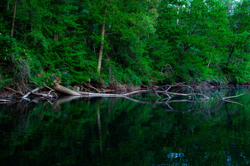 a boat is docked on the shore of a river surrounded by greenery