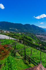 Sigths from Dorf Tyrol in South Tyrol Italy on Meran and other Landscapes.