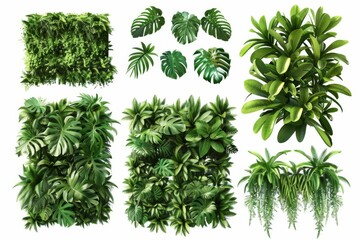Collection of lush garden partitions made from exotic foliage, hand-crafted