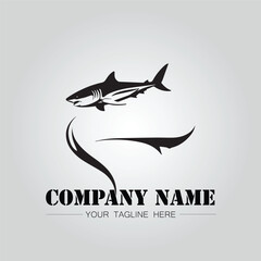 Shark silhouette illustration design for company logo vector image on the white background