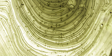 Captivating Translucence: Unleashing the Charm of Liquid Art in Oil Paint
