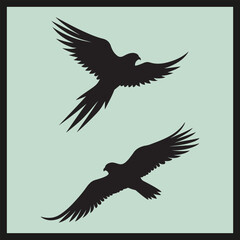 Fototapeta premium Nighthawk black silhouette set vector