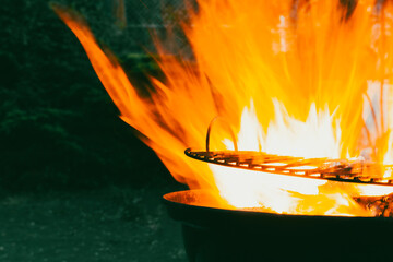 Fire flames on a dark background. Beautiful burning wood coals at windy night. Cooking on nature....