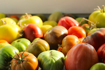 colourful tomatoes on the table