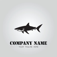 Shark silhouette illustration design for company logo vector image on the white background