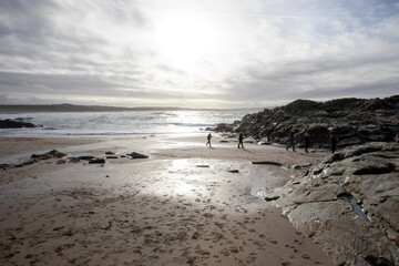 People and dogs backlit on Godrevy Beach in the UK.