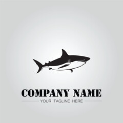 Shark silhouette illustration design for company logo vector image on the white background