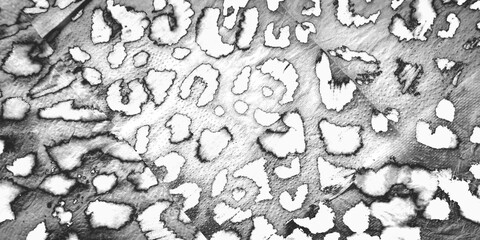 Watercolour Leopard Pattern. Silver Leopard.