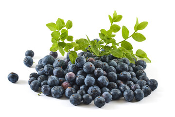 Fresh Blueberries with Green Leaves