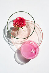 Abstract cosmetic laboratory. Rose in Glass petri with Shadows