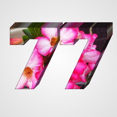 number 77 design with floral texture on white background