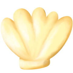 Sea shells on the beach for summer