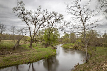 small river flows through a field with bushes on a cloudy day. long exposure, selective focus