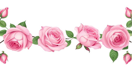 vine rose flowers pink beautiful colorful. isolated background