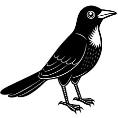 cute-hand-drawn-animal--grackle--cartoon-vector