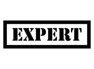 Expert stamp symbol, label sticker sign button, text banner vector illustration