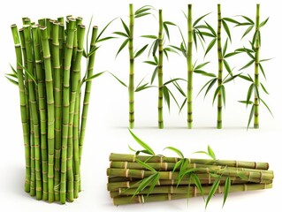 Bamboo Tall, straight bamboo stalks in 3D, showcasing their rapid growth and versatility in construction, isolated on white background, isolated on white background.