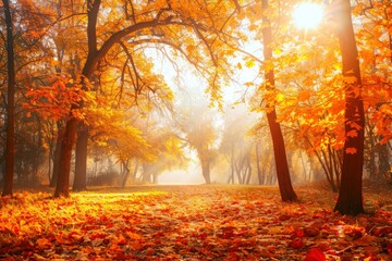 Autumn forest path. Orange color tree, red brown maple leaves in fall city park. Nature scene in sunset fog Wood in scenic scenery Bright light sun Sunrise of a sunny day - generative ai
