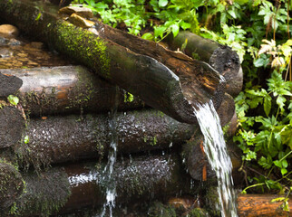 Mountain brook. Wooden log well.