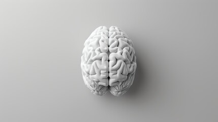 Human brain flat design front view anatomy theme 3D render Monochromatic Color Scheme