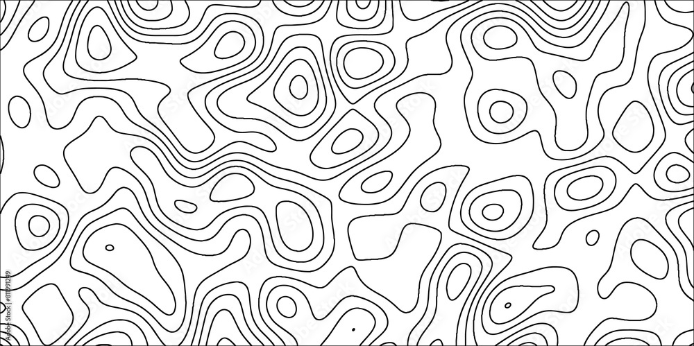 Poster abstract wavy line 3d paper cut white topographic canyon geometric map relief texture. black and whi