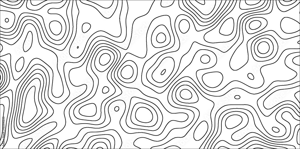 Poster abstract wavy line 3d paper cut white topographic canyon geometric map relief texture. black and whi