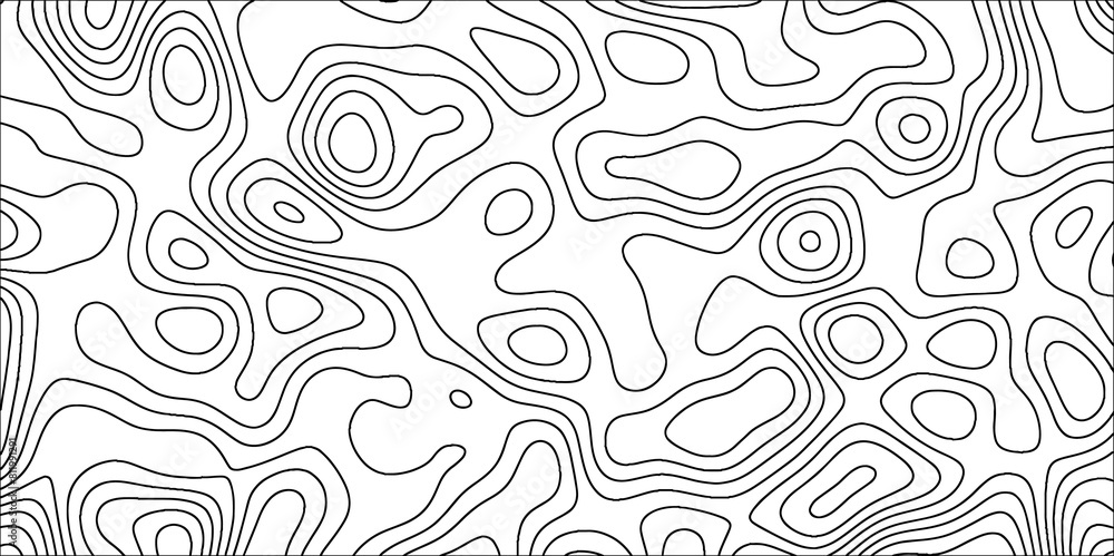Poster abstract wavy line 3d paper cut white topographic canyon geometric map relief texture. black and whi
