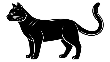 cat  and svg file