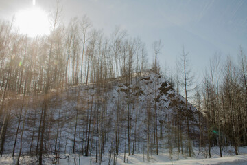 Winter landscape with snow, trees and blue sky in the Altai mountains